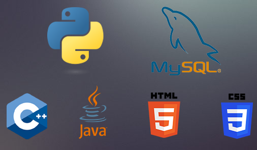 Arvind Majumder programming languages